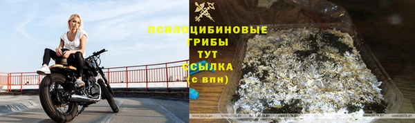 ешки Абаза